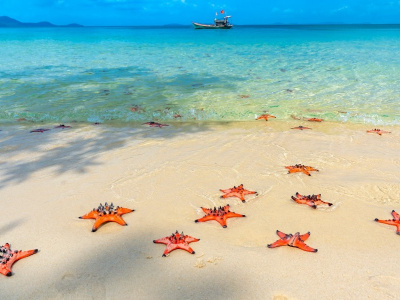 Фукуок: Парк Safari и пляж со звездами