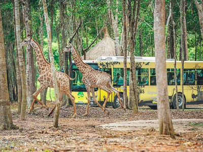 Фукуок: Парк Safari и пляж со звездами