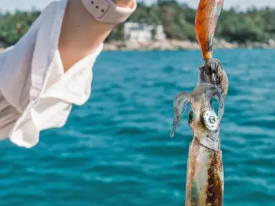 Дананг: морская прогулка; ловля кальмаров; серфинг