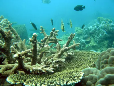 Фукуок: CATAMARAN SARITA PHU QUOC