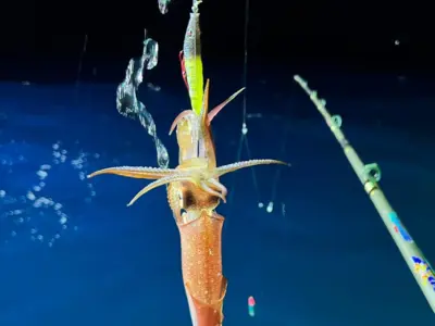 Фукуок: CATAMARAN SARITA PHU QUOC – плавание на закате