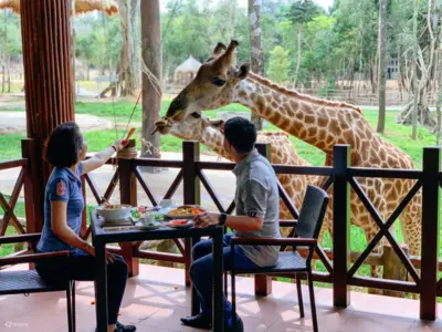 Фукуок: Парк Safari и пляж со звездами
